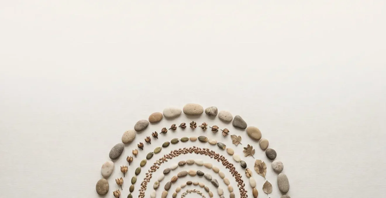 Composición minimalista con círculos concéntricos de elementos naturales que simbolizan el ciclo de renovación de la piel y el paso del tiempo.